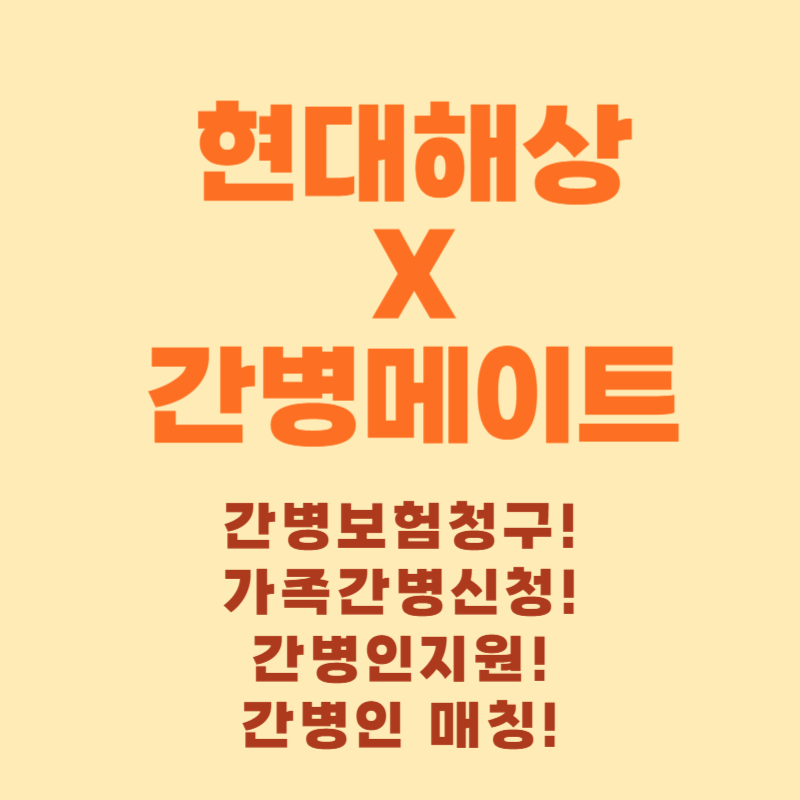 현대해상 간병메이트.png