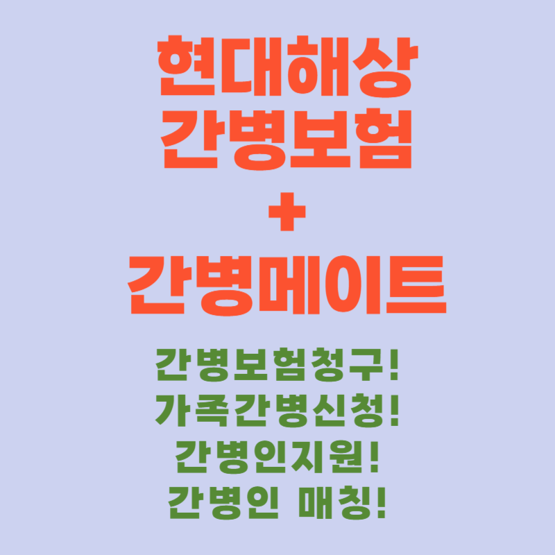 현대해상 간병메이트.png