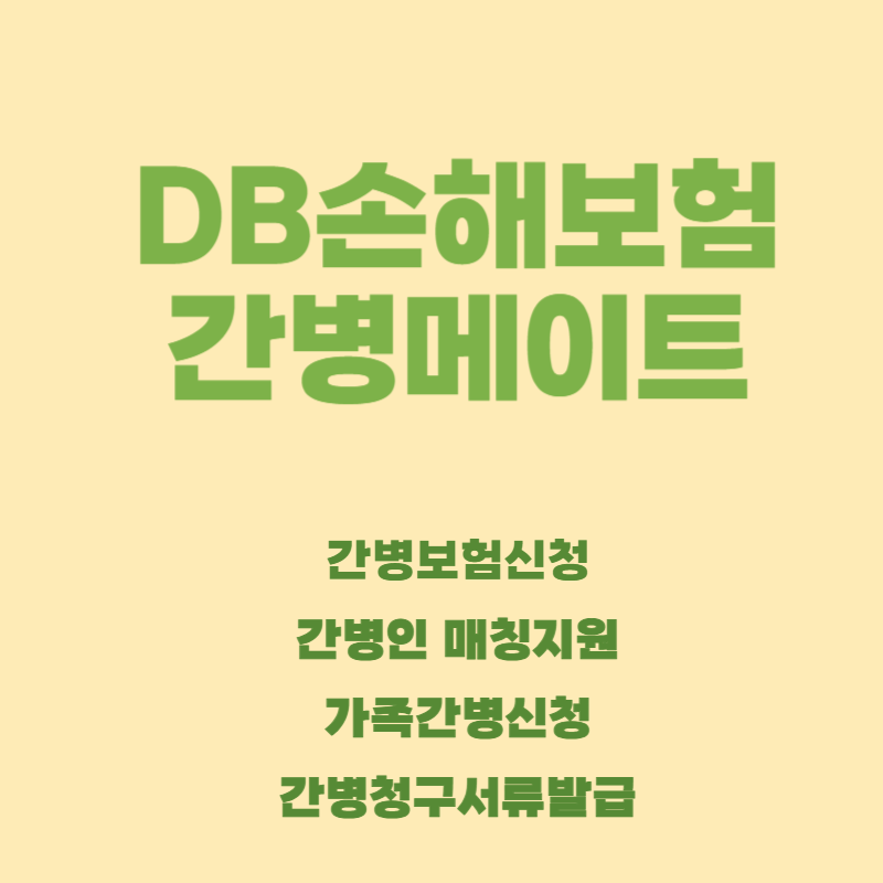 DB손해보험_간병메이트.png