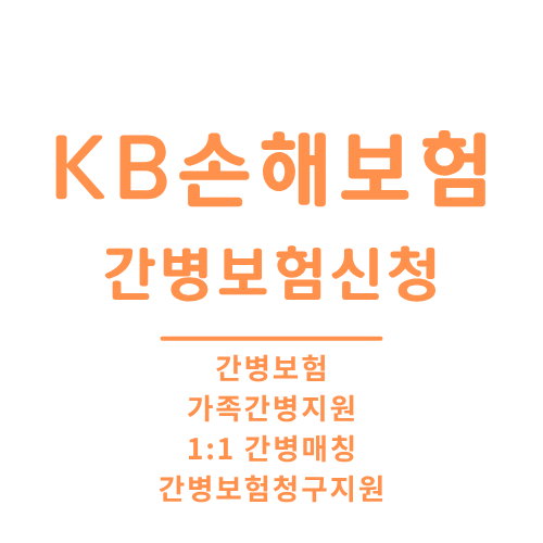 KB손해보험_간병보험.png