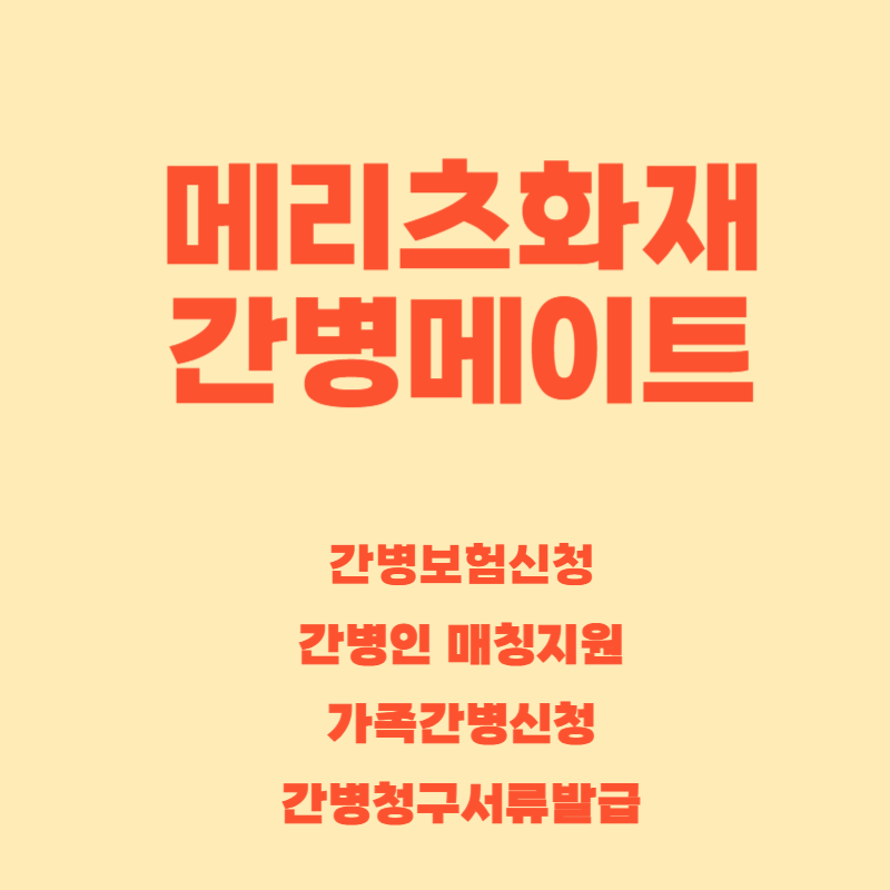 메리츠화재_간병메이트.png