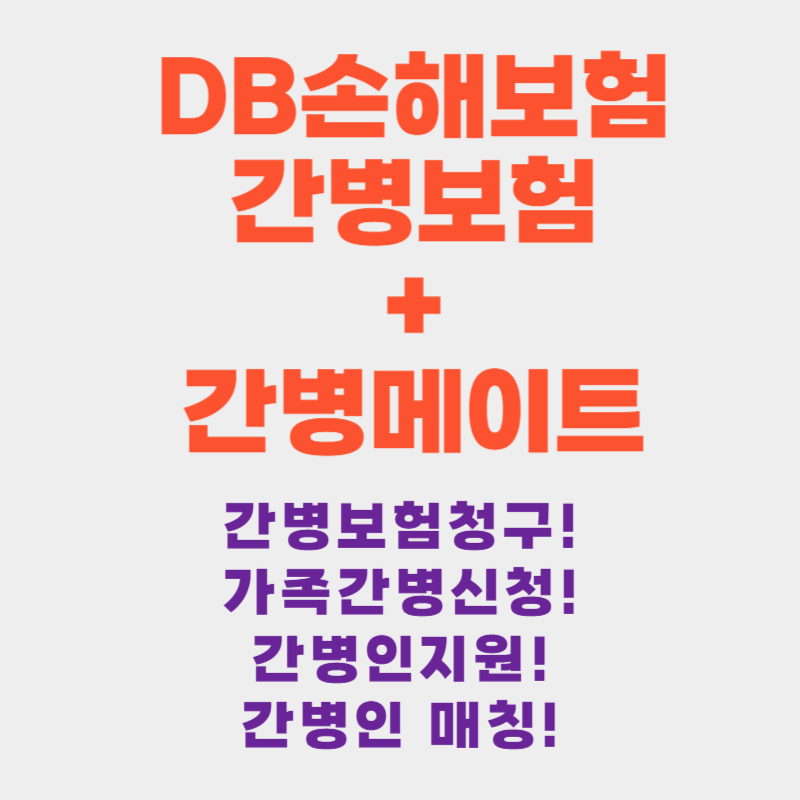 DB손해보험 간병메이트.png