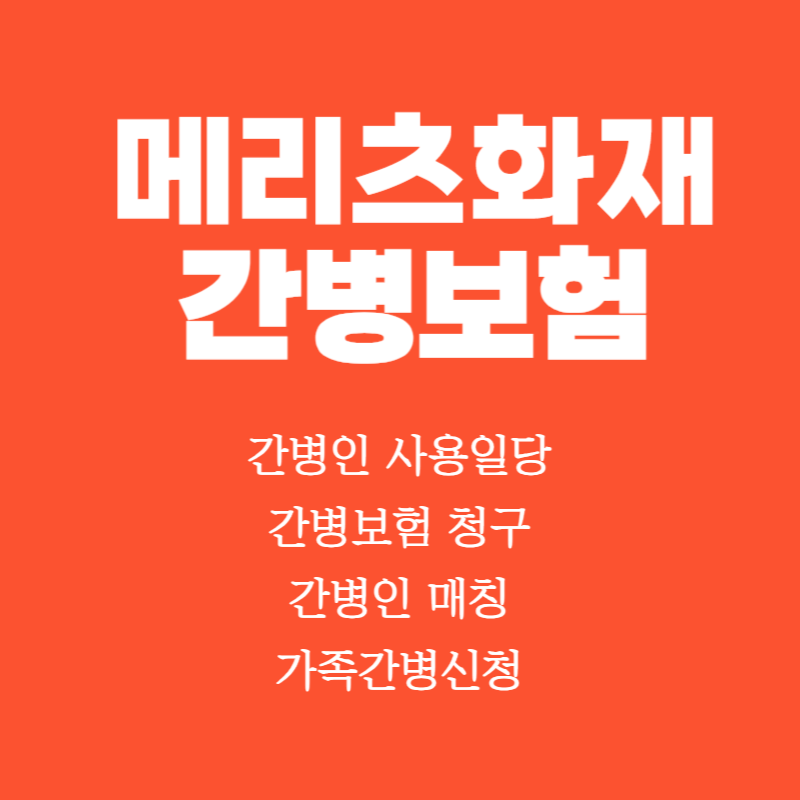 메리츠화재_간병보험.png