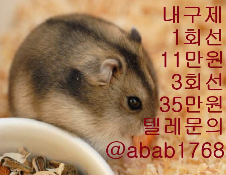 선불유심내구제 유심내구제 내구제 상조내구제 가전내구제 급전 소액결제 소액대출 소액급전 비대면대출 비대면급전 고액알바  (4).jpg