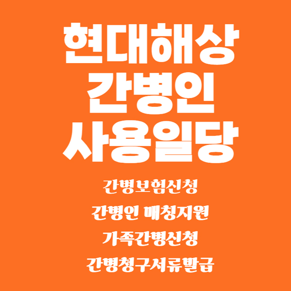 현대해상-간병인-사용일당.jpg