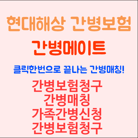 현대해상-간병메이트-간병보험.png